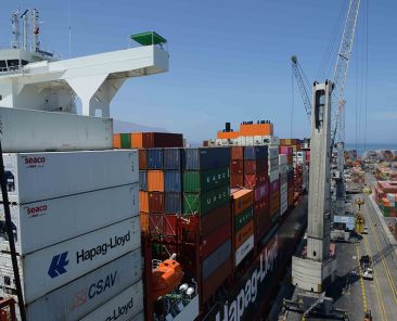 Hanseatic-Global-Terminals